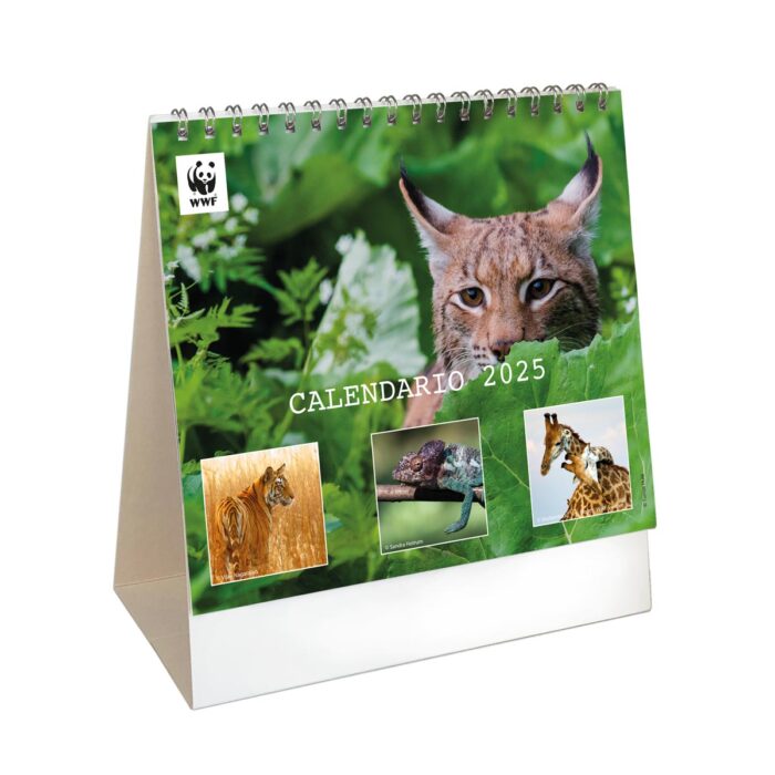 Calendario da tavolo